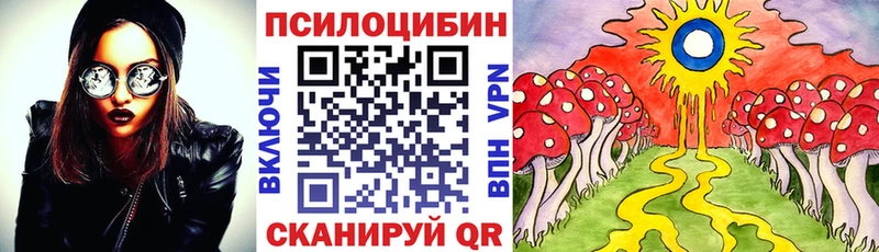 закладка  Гурьевск  Галлюциногенные грибы Cubensis 