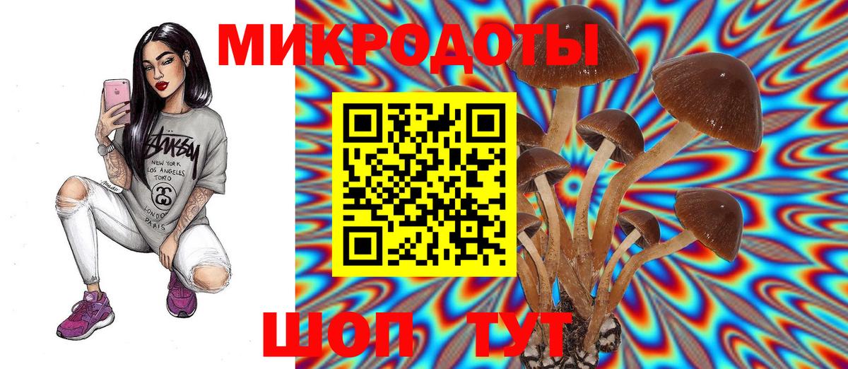 Псилоцибиновые грибы мицелий  Вход с VPN  Гурьевск 