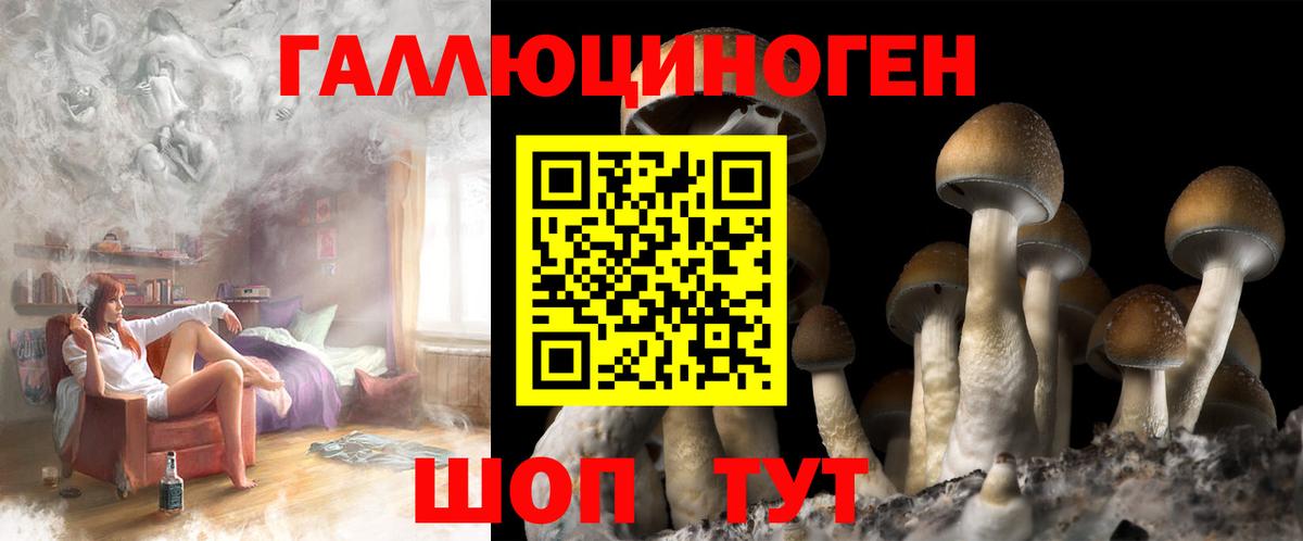 Галлюциногенные грибы прущие грибы Гурьевск
